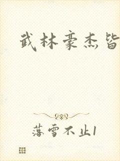 武林豪杰皆我奴
