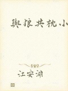 与狼共枕小说封面