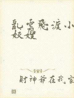 乱云飞渡小说之姣嫂