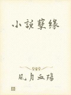 小说孽缘