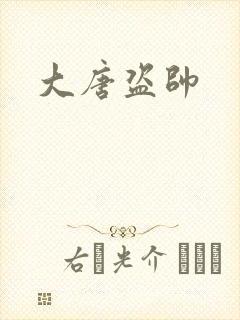 大唐盗帅