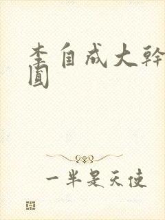 李自成大干陈圆圆封面