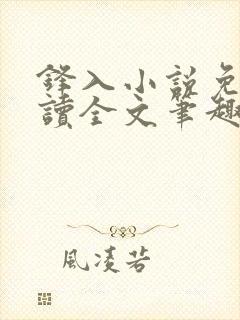 锋入小说免费阅读全文笔趣阁