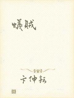 蚁贼封面