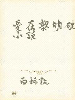 爱在黎明破晓前小说