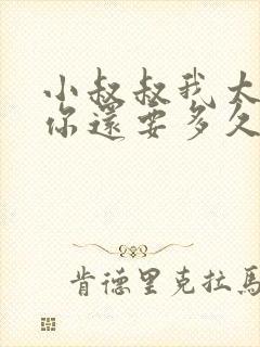 小叔叔我太累了你还要多久封面
