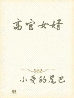 高官女婿
