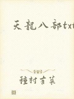 天龙八部txt封面