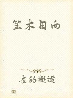 笠木日向封面