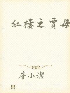 红楼之贾母