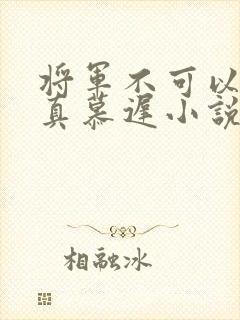 将军不可以魏云真慕迟小说笔趣阁