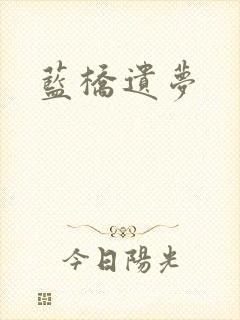 蓝桥遗梦