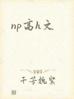 np高h文
