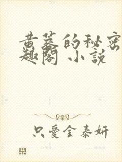黄蓉的秘密 笔趣阁 小说封面
