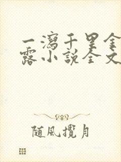 一泻千里金银花露小说全文免费阅读封面