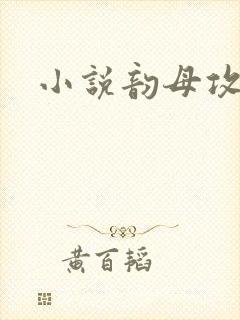 小说韵母攻略