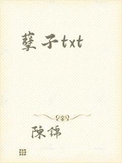 孽子txt封面