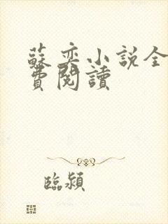 苏奕小说全文免费阅读