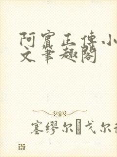 阿宾正传小说全文笔趣阁