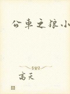 公车之狼小说