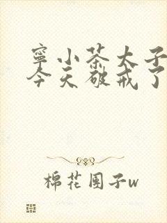 宁小茶太子殿下今天破戒了吗免费阅读