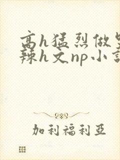 高h猛烈做哭高辣h文np小说