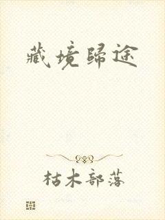 藏境归途