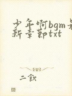 少年啊bgm最新章节txt封面