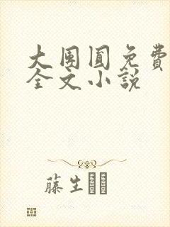大团圆免费阅读全文小说