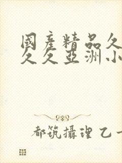 国产精品久久久久久亚洲小说