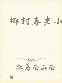 乡村春光小说