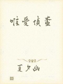 唯爱侦查