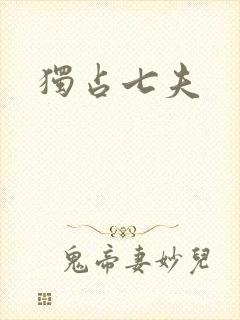 独占七夫封面