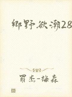 乡野欲潮28章