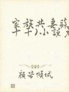 家族共妻苏苏(十千)小说免费