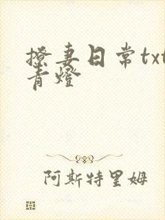 撩妻日常txt青灯
