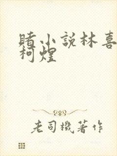 赌小说林喜朝和柯煜