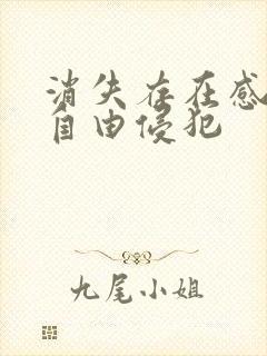 消失存在感消失自由侵犯封面