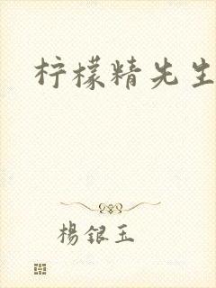柠檬精先生封面