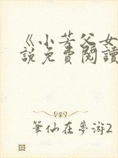 《小芳父女》小说免费阅读封面