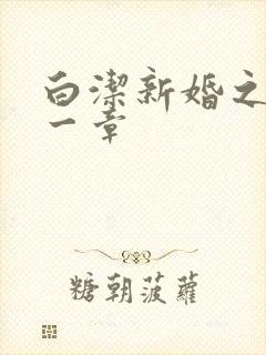 白洁新婚之夜第一章