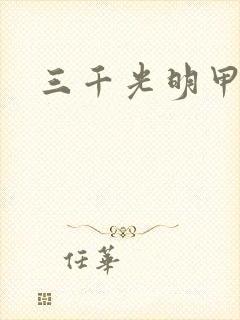 三千光明甲