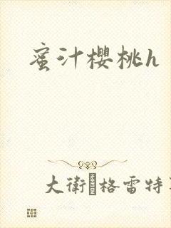 蜜汁樱桃h