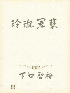 玲珑冤孽封面