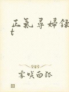 正气寻妇录txt