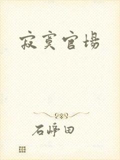 寂寞官场