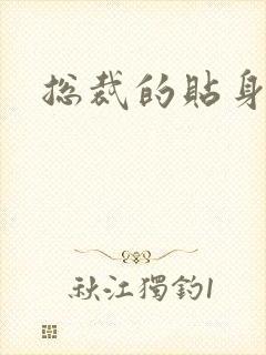 总裁的贴身女佣