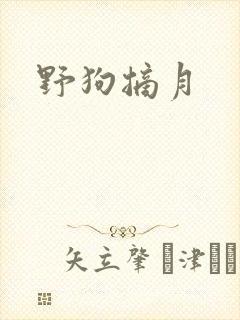 野狗摘月