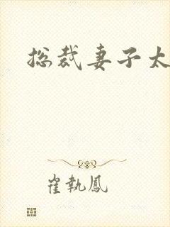 总裁妻子太诱人