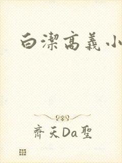 白洁高义小说